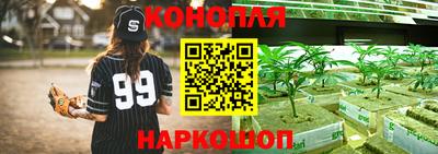 СК Новозыбков